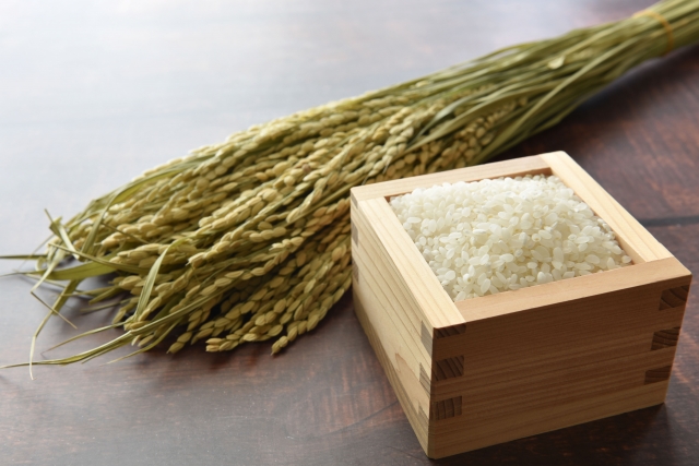 収穫された稲とお米